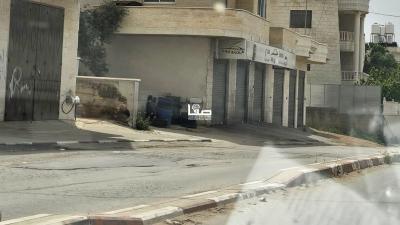 photo_2025-04-07_11-47-37