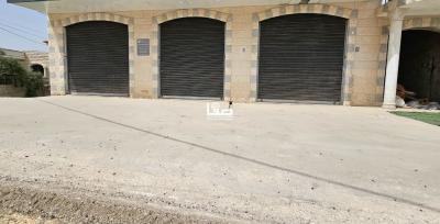 photo_2025-04-07_11-47-41