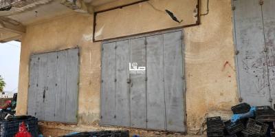 photo_2025-04-07_11-47-26