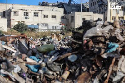 110425_Gaza_OSH_00(10)