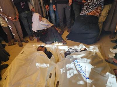 photo_2025-04-05_11-35-34