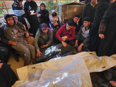 photo_2025-04-17_01-11-06