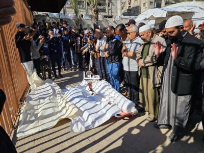 photo_2025-04-20_22-51-21