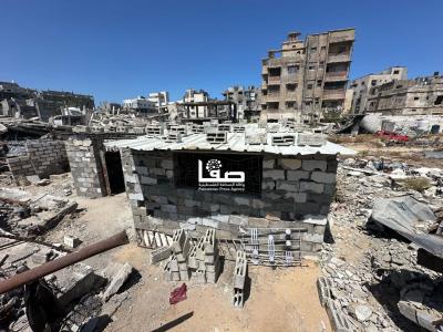 photo_2025-05-03_00-21-38