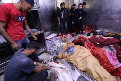 photo_2025-05-26_23-10-19