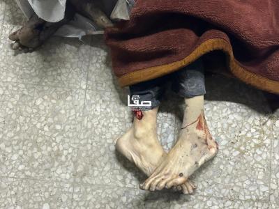 photo_2025-05-04_23-00-09