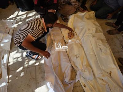 photo_2025-05-13_23-46-48