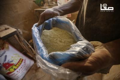 110525_Jabalia_OASH_00(11)