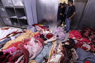 photo_2025-05-26_23-10-24