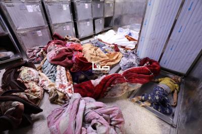 photo_2025-05-26_23-10-31