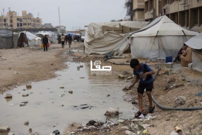 photo_2025-05-09_23-51-05