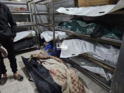 photo_2025-05-02_23-48-06