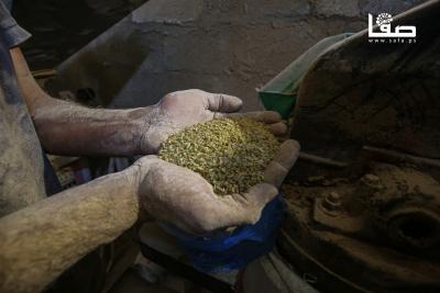 110525_Jabalia_OASH_00(10)