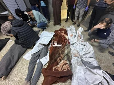 photo_2025-05-04_23-00-12