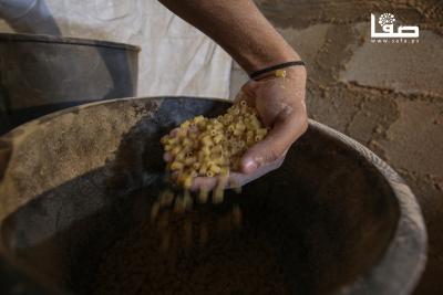 110525_Jabalia_OASH_00(16)