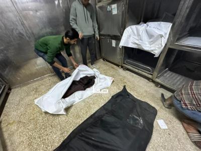 photo_2025-05-04_23-00-04