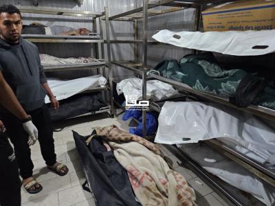 photo_2025-05-02_23-48-01