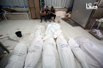 120525_Sheikh_Zayed_OASH_00(3)