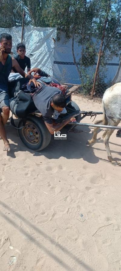 photo_2025-06-25_22-12-20