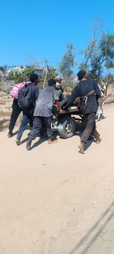 photo_2025-06-25_22-12-06