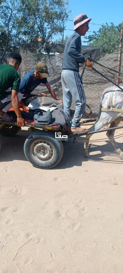 photo_2025-06-25_22-12-16