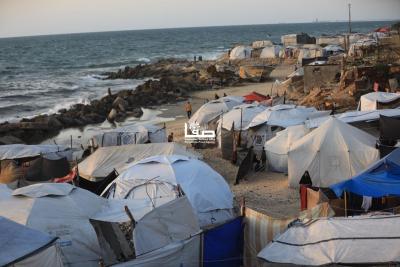 photo_2025-06-17_23-15-26