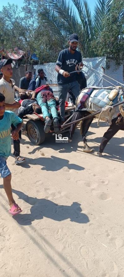 photo_2025-06-25_22-12-13