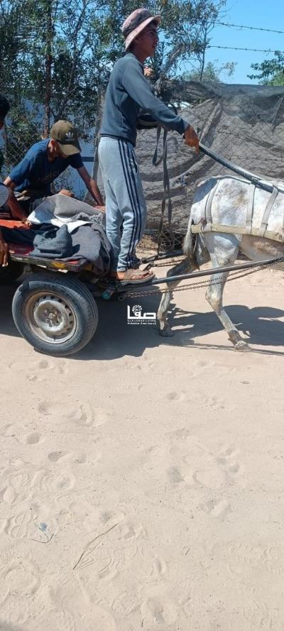 photo_2025-06-25_22-12-10