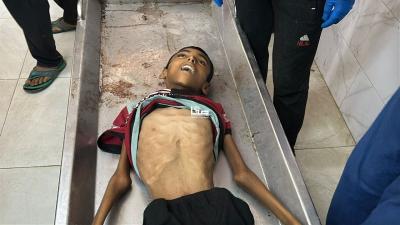 photo_2025-07-23_00-19-12