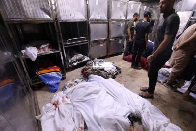 photo_2025-07-08_22-56-15