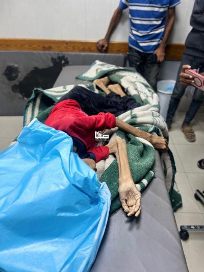 photo_2025-07-23_00-20-22