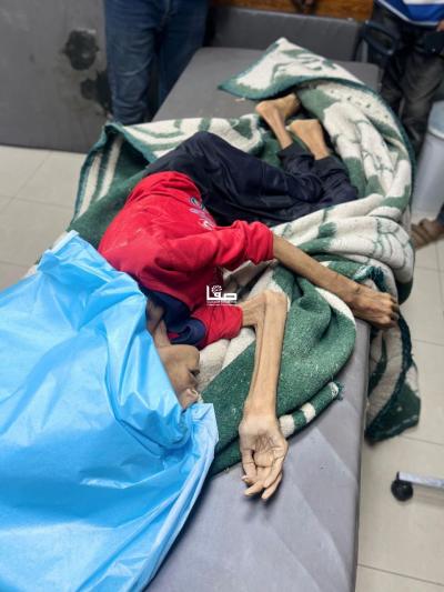 photo_2025-07-23_00-20-19