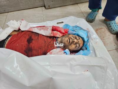 photo_2025-07-08_22-53-37