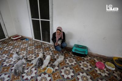 110825_Gaza_OSH_4_00(34)