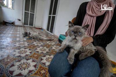 110825_Gaza_OSH_4_00(23)