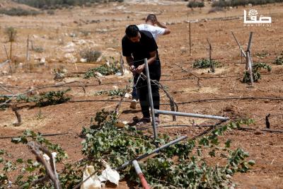 080825_Hebron_MW_00(28)