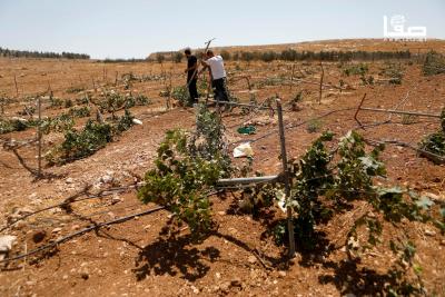 080825_Hebron_MW_00(26)