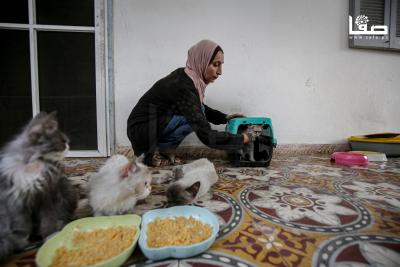 110825_Gaza_OSH_4_00(35)