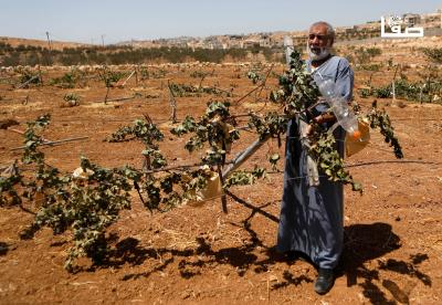 080825_Hebron_MW_00(25)