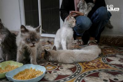 110825_Gaza_OSH_4_00(32)