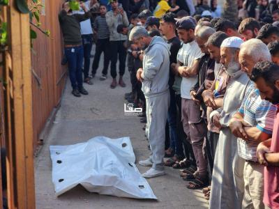 photo_2025-11-24_14-09-18