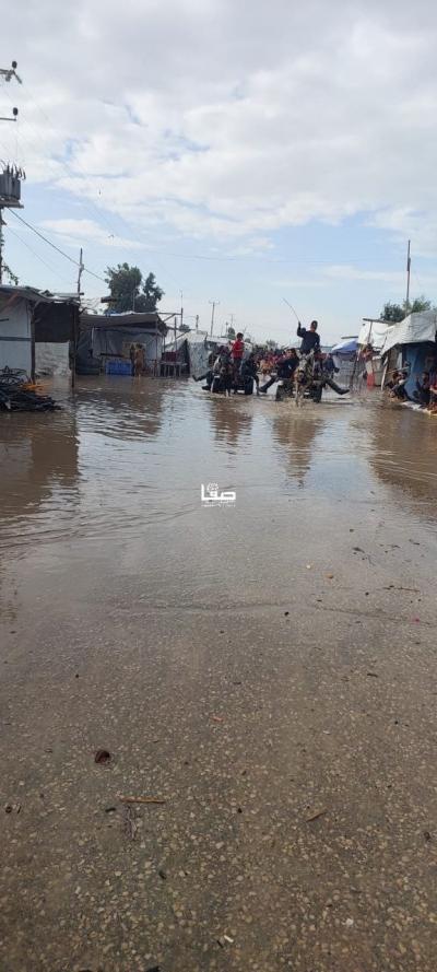 photo_2025-11-17_10-29-50