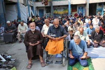 photo_2025-11-08_10-00-03