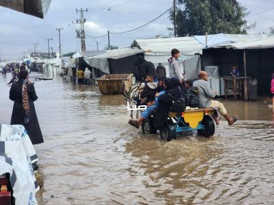 photo_2025-11-26_09-53-12