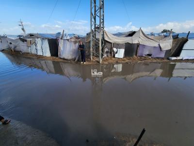 photo_2025-11-17_11-03-17