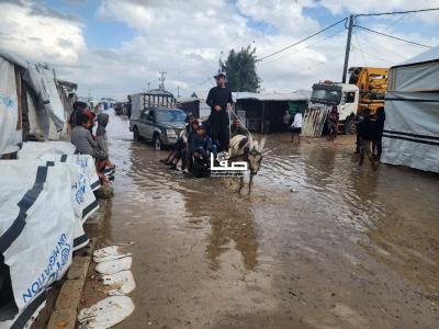 photo_2025-11-26_09-53-08