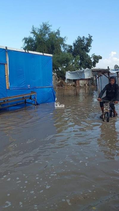 photo_2025-11-17_11-05-04