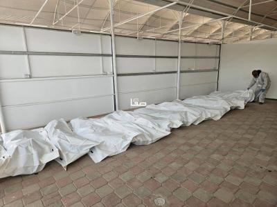 photo_2025-11-01_10-02-08