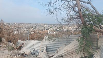 WhatsApp Image 2025-11-03 at 2.06.11 PM