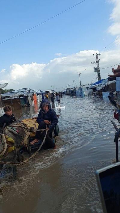 photo_2025-11-17_11-05-18